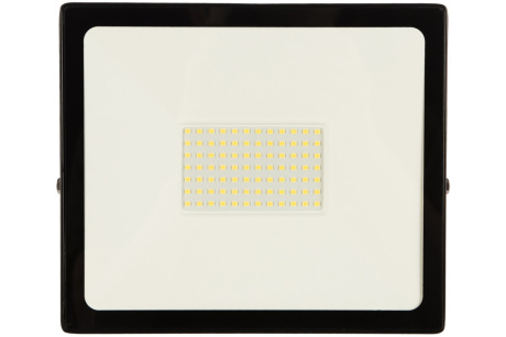 Купить Светодиодный LED прожектор FL SMD LIGHT Smartbuy-100W/6500K/IP65 SBL-FLLight-100-65K фото №1